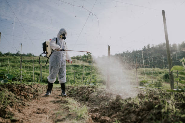 Best Affordable Pest Control Services  in Wayland, MI