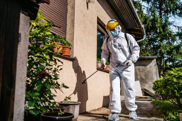 Professional Pest Control in Wayland, MI