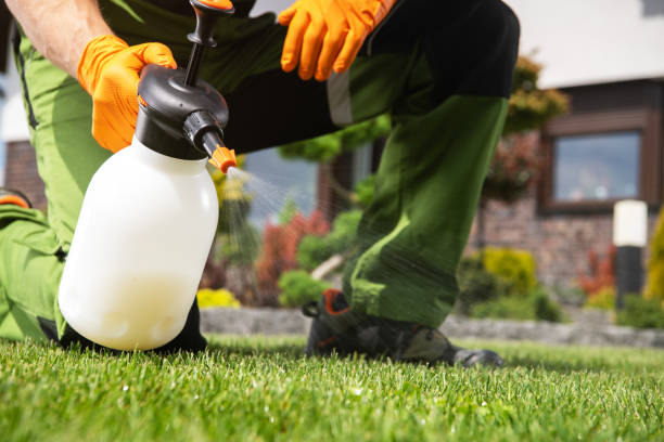 Best Affordable Pest Control Services  in Wayland, MI