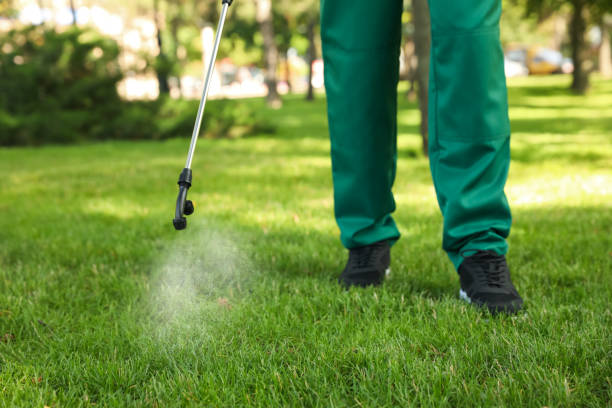 Best Emergency Pest Control  in Wayland, MI
