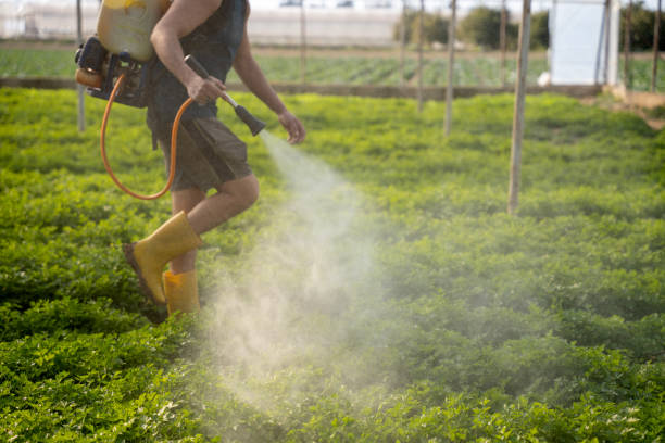 Reliable Wayland, MI Pest Control Solutions
