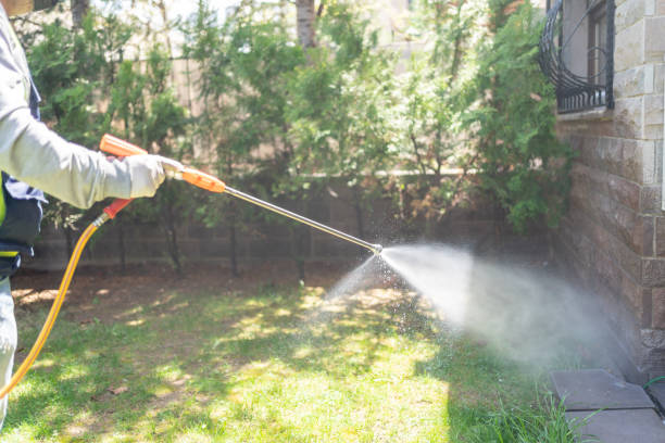 Spider Control Near Me in Wayland, MI