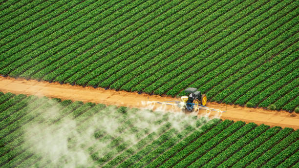 Best Pest Removal Services  in Wayland, MI