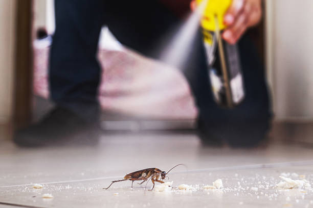 Wildlife Control Services in Wayland, MI