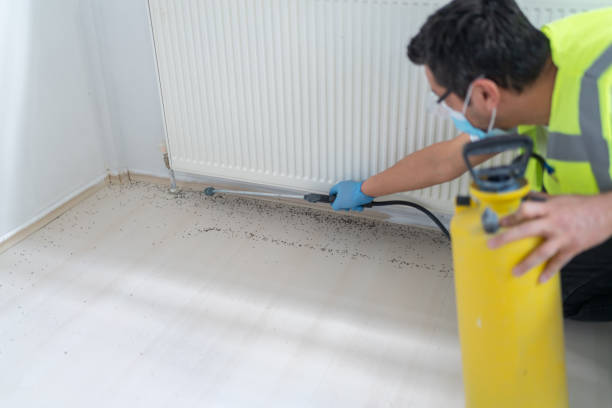 Best Ant Control Services  in Wayland, MI