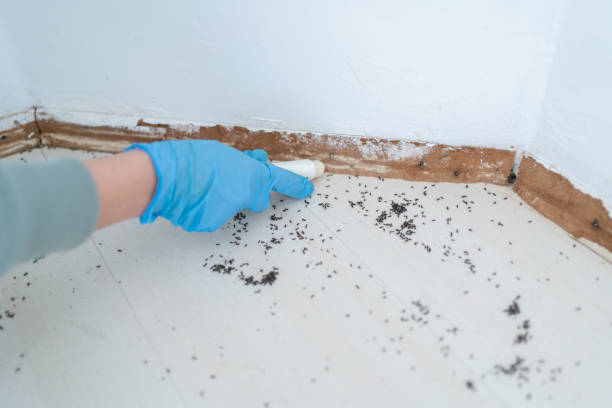 Best Pest Removal Services  in Wayland, MI